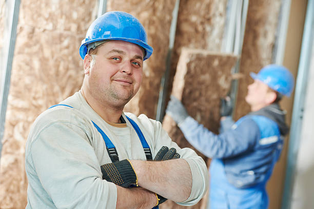Best Insulation Inspection Services  in Twinsburg Heights, OH